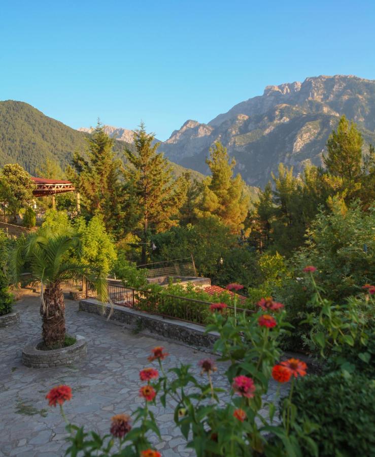 Konitsa Panorama Hotell Eksteriør bilde